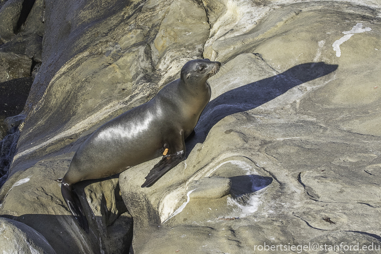 La Jolla